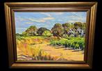 Antoine Reniers (1923-2013) - Zomer in de Provence