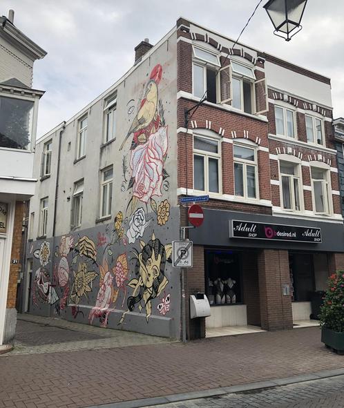 Appartement te huur aan Rozemarijnstraat in Breda, Huizen en Kamers, Huizen te huur, Noord-Brabant