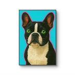 Tomas - Bold Boston: Neon-Eyed Charm