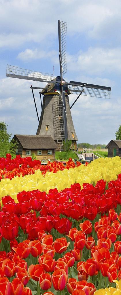 Banner Lisse 75 cm x 180 cm, Tuin en Terras, Tuinwanddecoratie, Verzenden