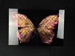 Mike Blackarts - Luxurious Butterfly with diamonds