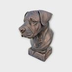 Bust of a Canarian Mastiff dog statue - home decor dog lover, Verzenden, Nieuw