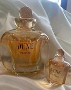 Christian Dior: splendido large factice, dummy, manichino