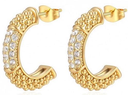 Shiny oorbellen - Verkleuren niet - Gratis verzending, Sieraden, Tassen en Uiterlijk, Oorbellen, Hangers, Goud, Nieuw, Overige materialen