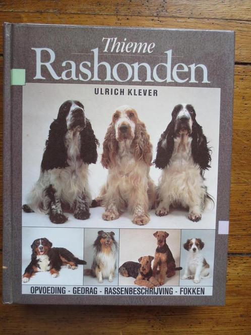 Rashonden 9789052100401 U. Klever, Boeken, Wetenschap, Gelezen, Verzenden