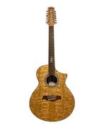 Ibanez - Ew2012ASE - - Akoestische gitaar, Nieuw