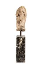 sculptuur, Torso in marmo - 130 cm - Marmer