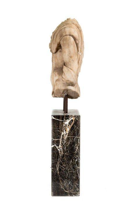 sculptuur, Torso in marmo - 130 cm - Marmer, Antiek en Kunst, Curiosa en Brocante