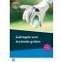 Golfregels voor startende golfers 9789085166269, Boeken, Verzenden, Zo goed als nieuw, Nederlandse Golf Federatie