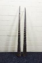 Gemsbok Hoorns - Oryx gazella - 3 cm - 3 cm - 90 cm-, Nieuw