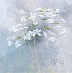 Kunstdruk Franz Heigl - Enchanted I 60x60cm, Verzenden, Nieuw