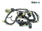 Kabelboom Honda CB 600 F Hornet 2003-2004 (CB600F PC36), Verzenden, Gebruikt