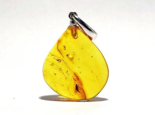 Oogstrelende prehistorische muskiet in amber – Echte, Verzamelen, Dierenverzamelingen