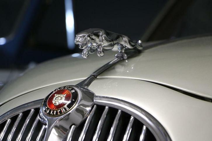 ** Gezocht Klassieke Jaguar Gevraagd **, Auto's, Oldtimers, Jaguar, Benzine