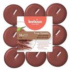 Geurtheelichten | Bolsius | Oud Wood | 18 stuks, Verzenden, Nieuw