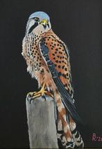 R.Benda (1953) - Torenvalk in mooie pose