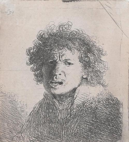 Rembrandt van Rijn, Zelfportret met open mond (1630), Antiek en Kunst, Kunst | Schilderijen | Klassiek