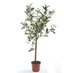 Kunstplant groene olijfboom 65 cm in betonlook pot - Overi.., Ophalen of Verzenden
