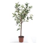 Kunstplant groene olijfboom 65 cm in betonlook pot - Overi.., Huis en Inrichting, Ophalen of Verzenden