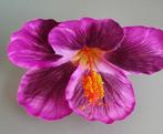 Lila Jo, Purple Hibiscus., Nieuw, Verzenden