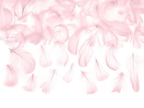 Roze Decoratie Veren 3g, Hobby en Vrije tijd, Feestartikelen, Nieuw, Verzenden
