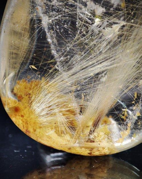 Zeer zeldzame prachtige natuurlijke goudkleurige, Verzamelen, Mineralen en Fossielen
