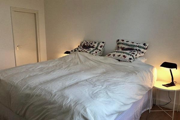 Appartement Professor Pieter Willemsstraat in Maastricht, Huizen en Kamers, Huizen te huur, Via bemiddelaar, Limburg, Appartement