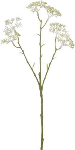 Limonium Creme Zijdenbloem L42, Huis en Inrichting, Woonaccessoires | Kunstplanten en Kunstbloemen, Nieuw, Ophalen of Verzenden
