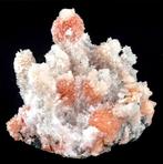 Nieuw oranje Thomsoniet, sneeuwwit Mesoliet op stalactical, Verzamelen, Mineralen en Fossielen