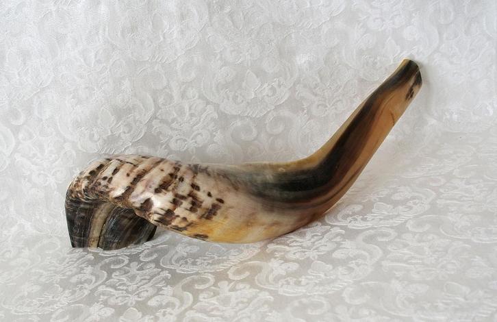 Ramshoorn Shofar (kosher) groot, Muziek en Instrumenten, Blaasinstrumenten | Overige