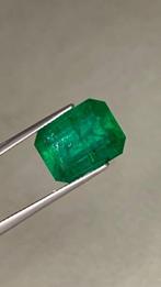 1 pcs Groen Smaragd - 4.84 ct - nternational Colored, Sieraden, Tassen en Uiterlijk, Edelstenen, Nieuw