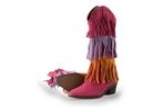 DWRS Cowboy laarzen in maat 38 Roze | 10% extra korting, Kleding | Dames, Schoenen, DWRS, Overige kleuren, Verzenden, Zo goed als nieuw