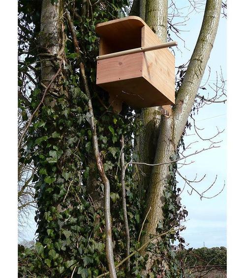 Torenvalk Box, Tuin en Terras, Overige Tuin en Terras, Ophalen of Verzenden