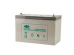 Gel accu 12 volt 100 T11 (LPCG), Auto-onderdelen, Verzenden, Nieuw