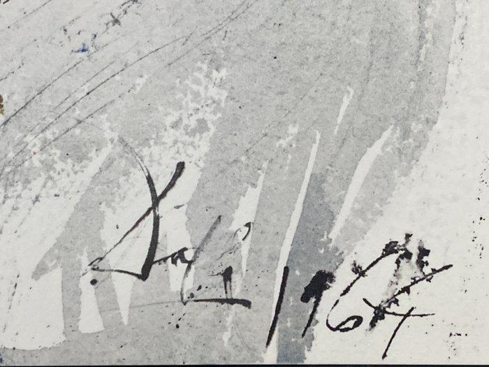 Salvador Dali (1904-1989) - Statimque Tobias Visum Recepit, Antiek en Kunst, Antiek | Overige Antiek