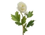 Actie ranonkel camelia wit l.8cm w.10cm h.57cm / stuk, Huis en Inrichting, Ophalen of Verzenden, Nieuw