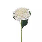 Hortensiatak Cream 52 cm kunstplant - Buitengewoon de Boet, Nieuw, Verzenden
