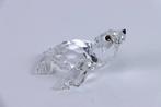 Figuur - Swarovski Crystal - Zeehondje (Boxed + Certificate), Antiek en Kunst, Curiosa en Brocante