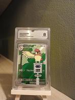 Pidgeotto #208 Pokemon Obsidian Flames, Nieuw, Losse kaart, Foil