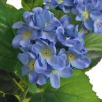 Kunst hortensia plant met pot 60 cm blauw, Nieuw, Verzenden