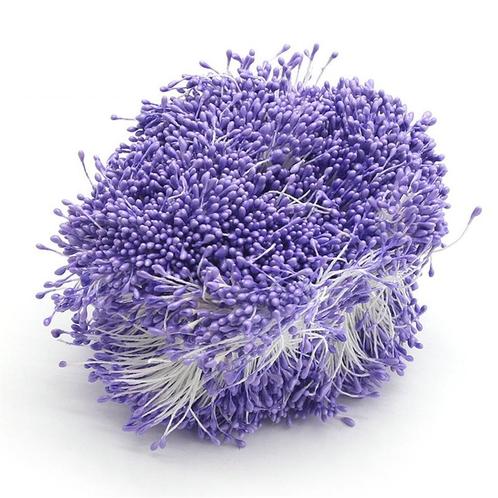 Meeldraad Meeldraden Lila 1 mm 576 stuks PAK Meeldraden, Huis en Inrichting, Woonaccessoires | Kunstplanten en Kunstbloemen, Nieuw