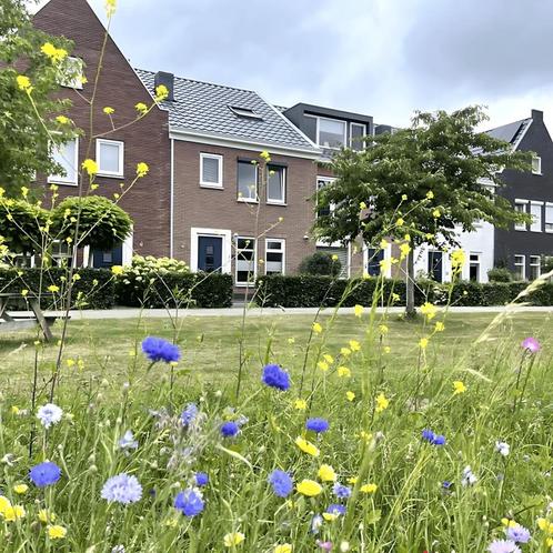Ruime eengezinswoning gestoffeerd met 6 slaapkamers, Huizen en Kamers, Kamers te huur, 50 m² of meer, Zwolle
