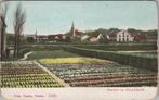 HILLEGOM - Gezicht op Hillegom, Verzamelen, Ansichtkaarten | Nederland, Verzenden, Gelopen