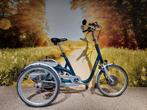 Van Raam Maxi, Silent Electro