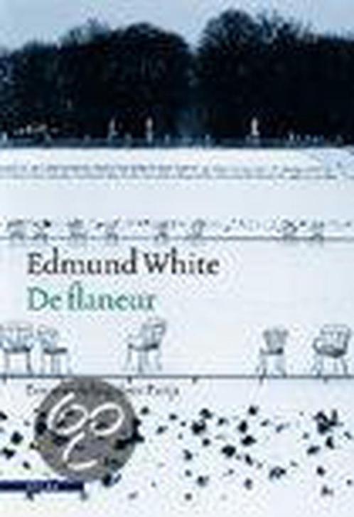 De flaneur 9789045005621 E. White, Boeken, Reisverhalen, Zo goed als nieuw, Verzenden