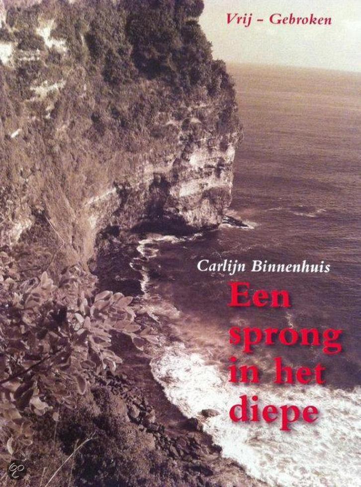 Een sprong in het diepe 9789081990905 Carlijn Binnenhuis, Boeken, Romans, Gelezen, Verzenden