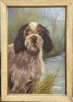 Mario Norfini (1870-1956) - Cane, Antiek en Kunst