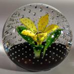 Caithness - Jack Allen - Presse-papier - Flower In The