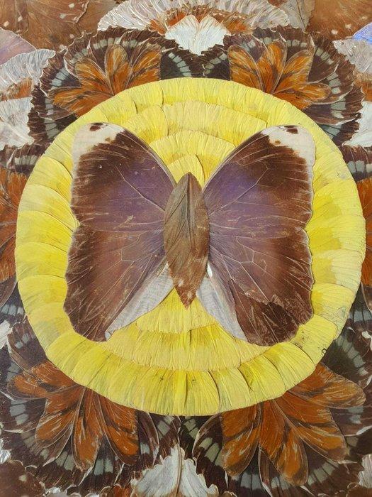 Dienblad - Mahonie, Antiek en Kunst, Curiosa en Brocante