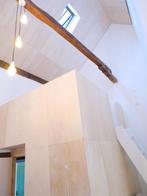 Te huur: Appartement Vrijthof in Maastricht, Huizen en Kamers, Limburg, Maastricht, Appartement
